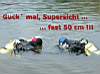 edersee8.jpg